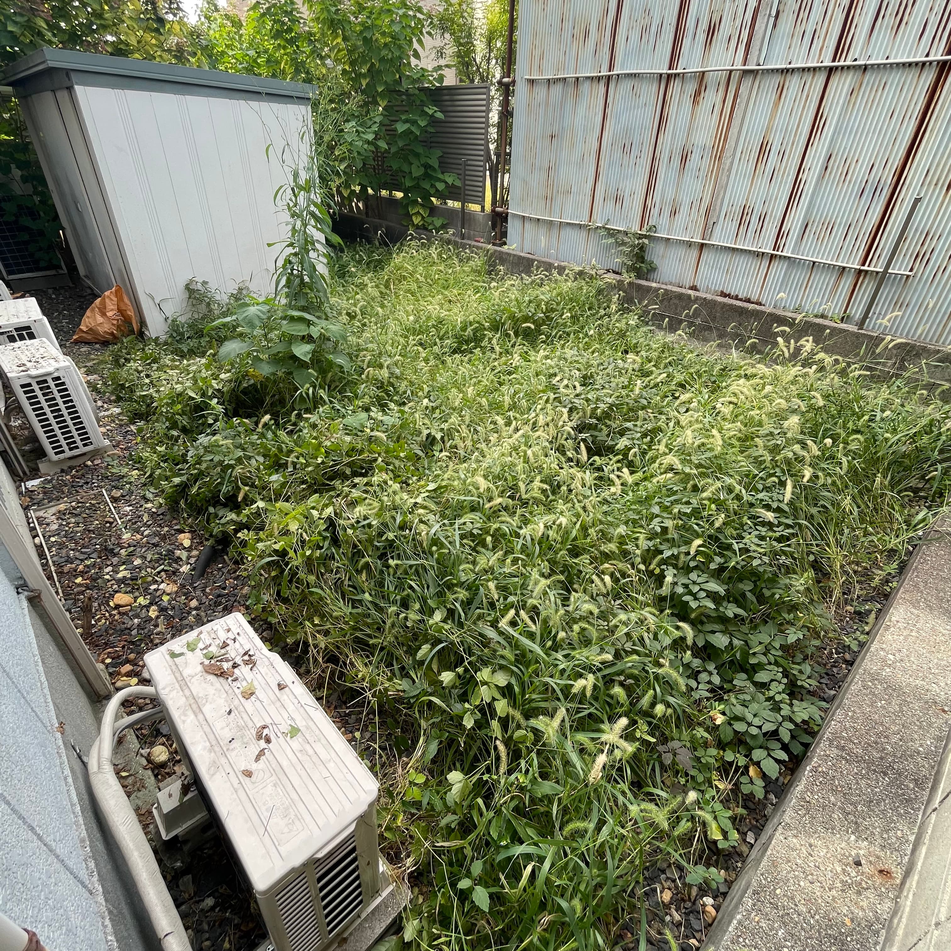 防草シート施工前