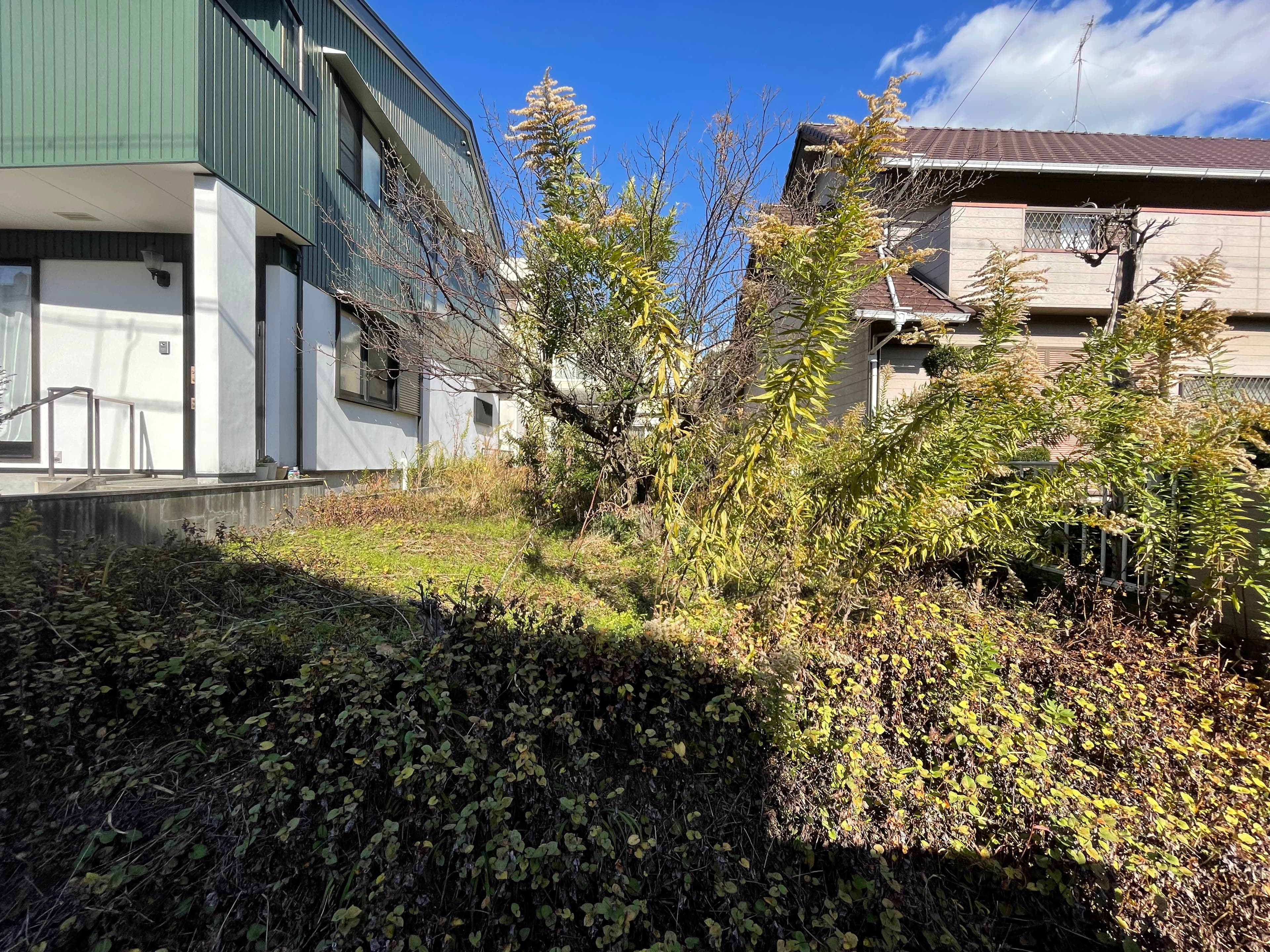 草刈り施工前の空き地