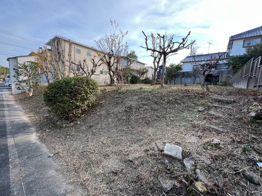 空き地 草刈り・剪定・伐採 施工後